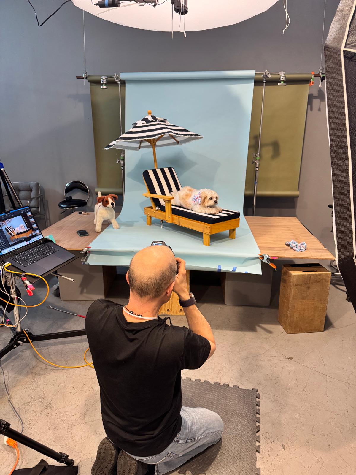 Behind the Scenes: Dog Product Photoshoot