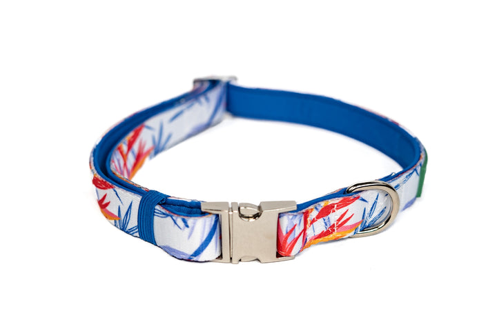 Dog collar with colorful floral pattern on a white background