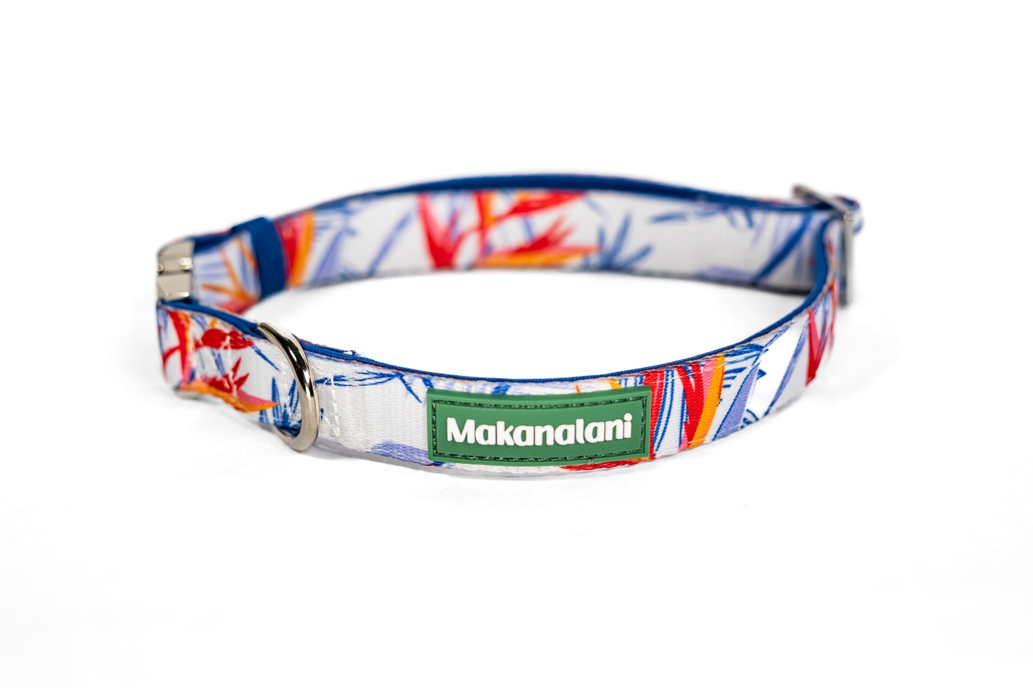 Colorful dog collar with a brand label on a white background