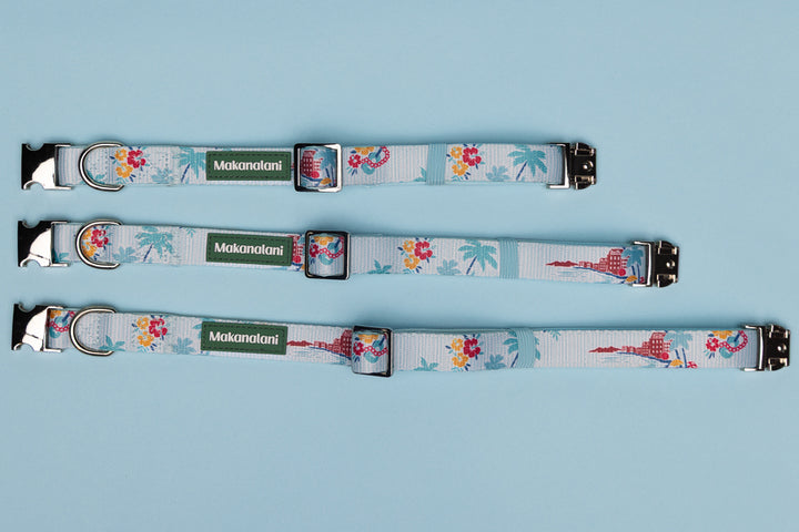 Three dog collars with a tropical design on a light blue background