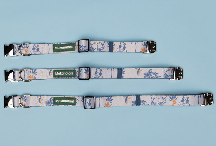 Three floral-patterned dog collars with visible branding on a light blue background