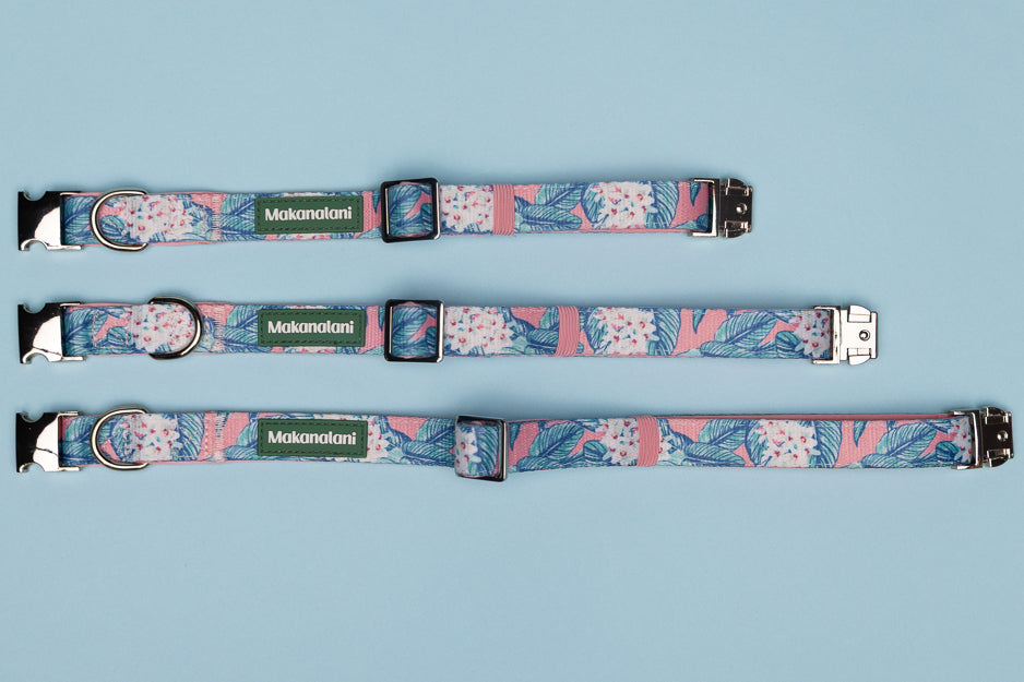 Three floral-patterned dog collars with metal buckles on a light blue background