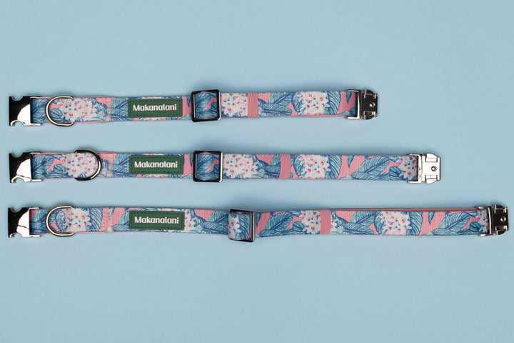 Three floral-patterned dog collars with metal buckles on a light blue background