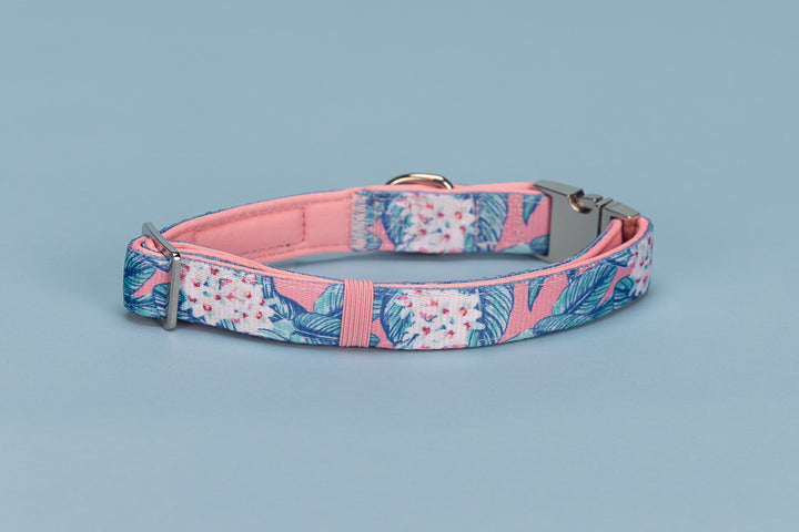 Floral patterned dog collar on a light blue background