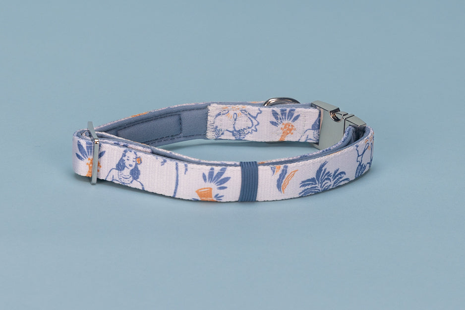 Dog collar with a floral pattern on a light blue background