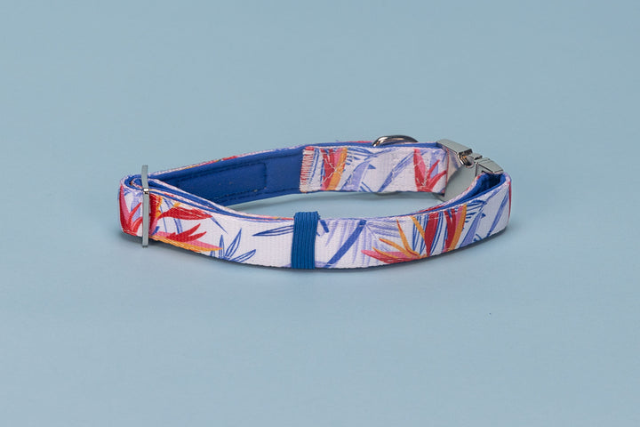 Dog collar with colorful leaf pattern on a light blue background