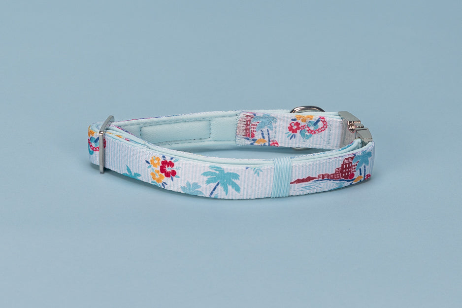 Dog collar with a tropical design on a light blue background