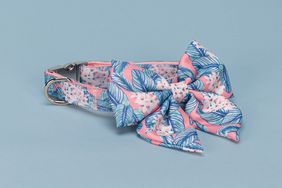 Floral patterned dog collar with bow tie on a light blue background