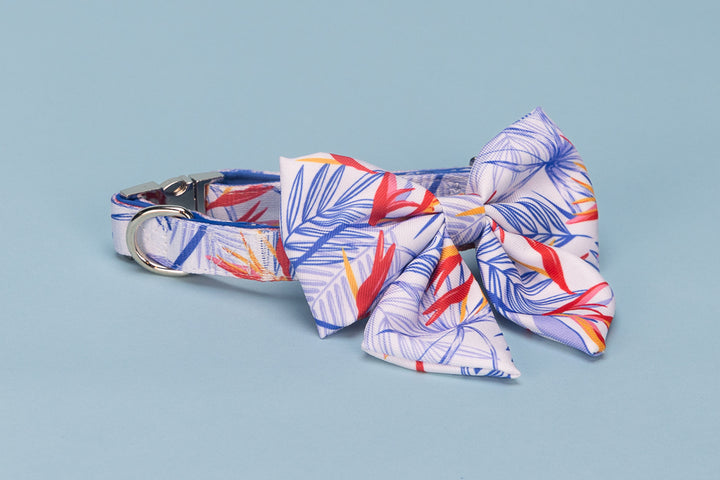 Dog collar and bow tie set with colorful leaf pattern on a light blue background