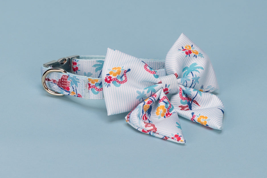 Dog collar and bow tie set with floral design on a light blue background