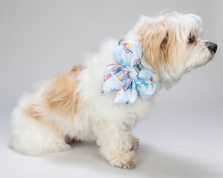 Small dog wearing a colorful floral bow tie on a plain background