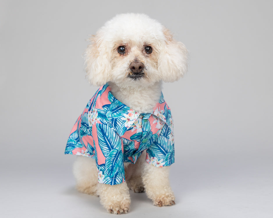 Palm Floral Resort Shirt for Pets