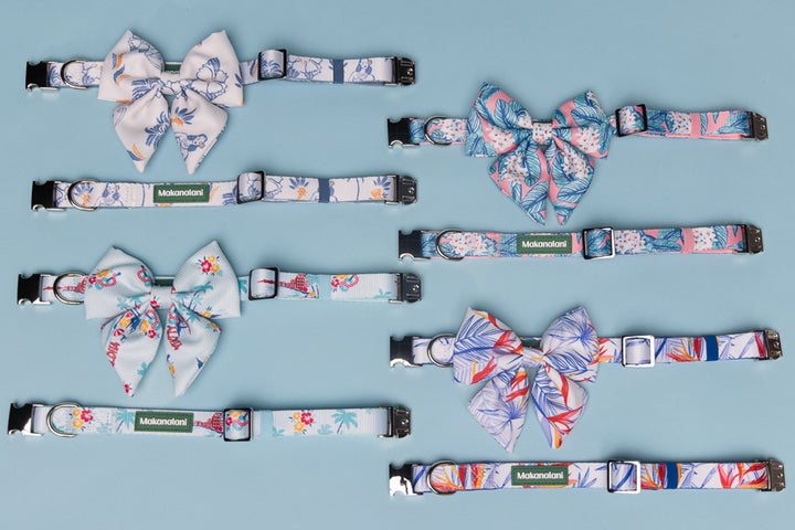 Collection of dog collars and bow ties with floral patterns on a blue background