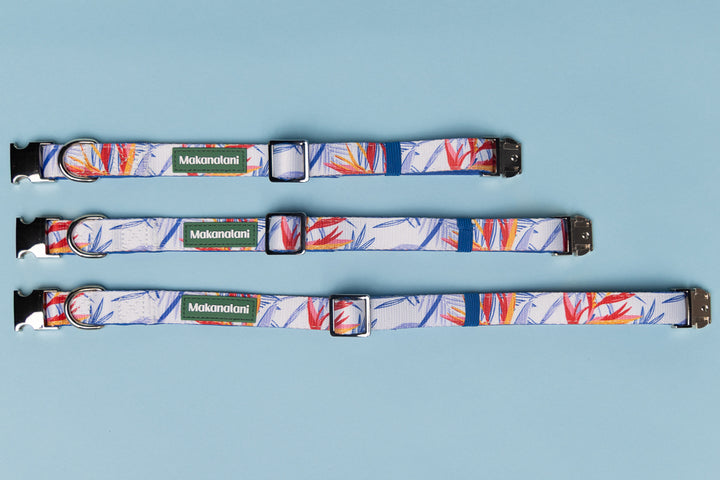 Three colorful dog collars with a brand logo on a light blue background