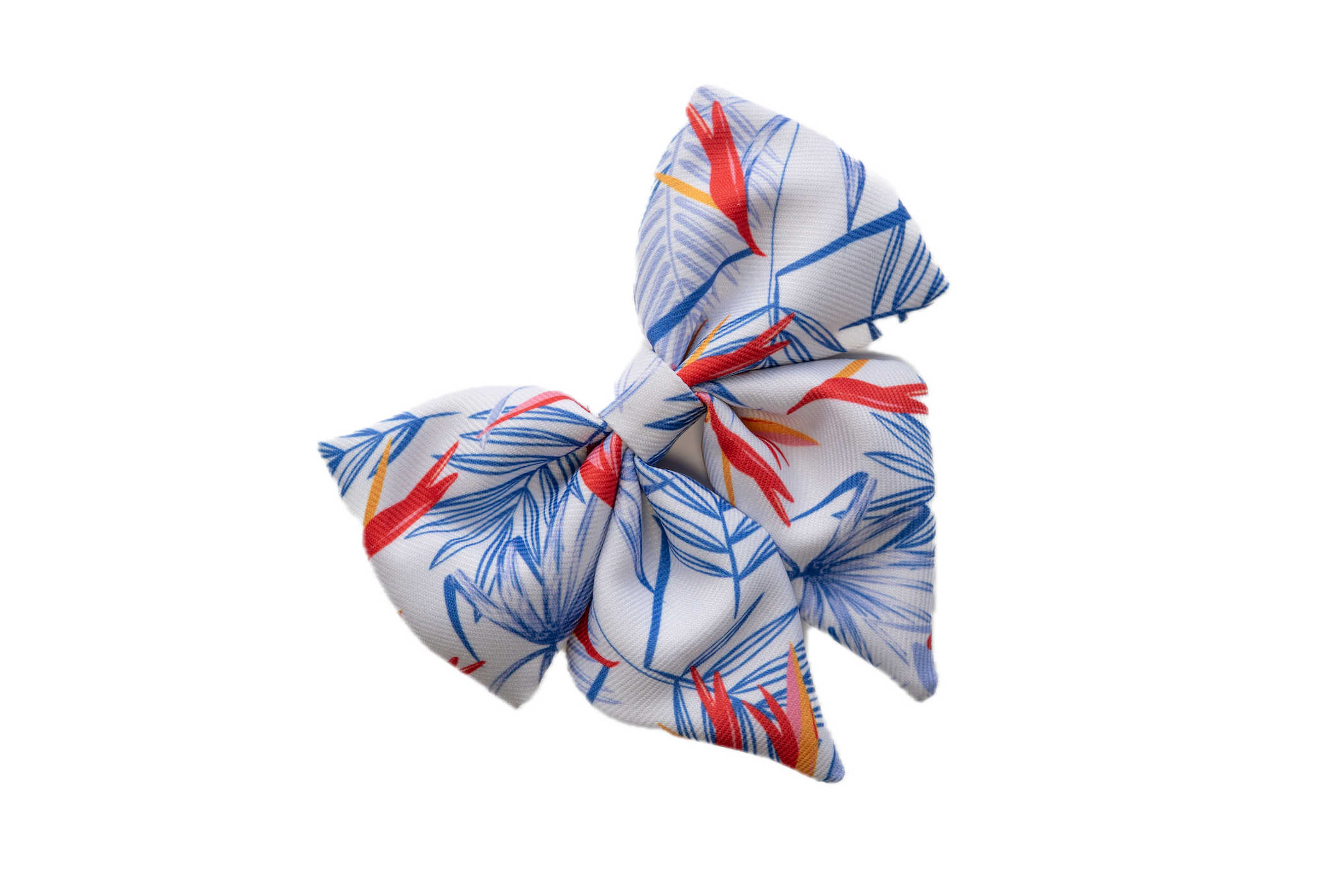 Colorful dog collar bow with a tropical print on a white background