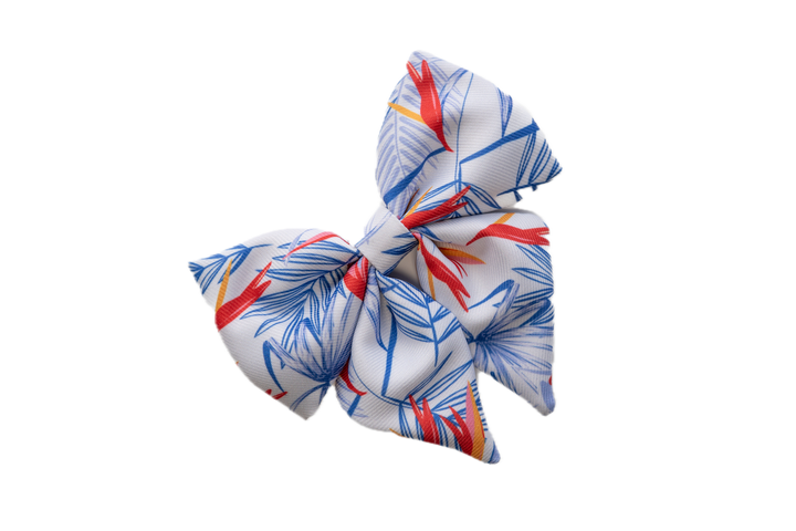 Colorful dog collar bow with a tropical print on a white background
