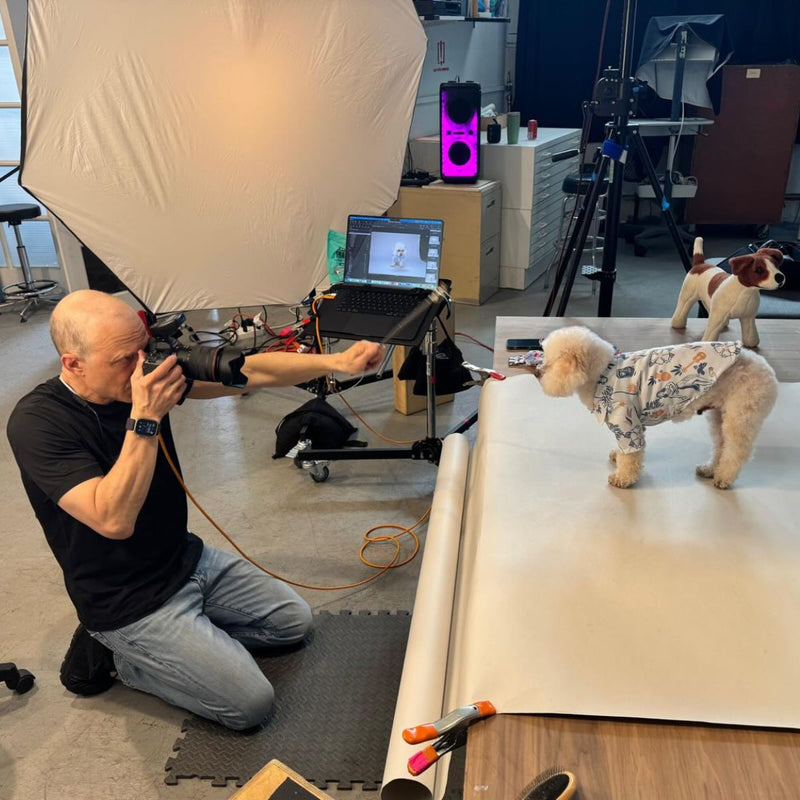 Photographer taking pictures of a small dog in a Makanalani aloha shirt for dogs